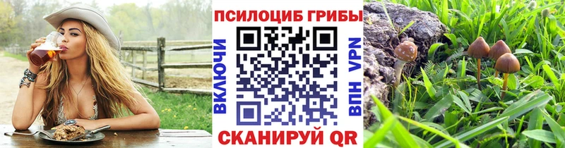 Галлюциногенные грибы мицелий  закладка  Боготол 